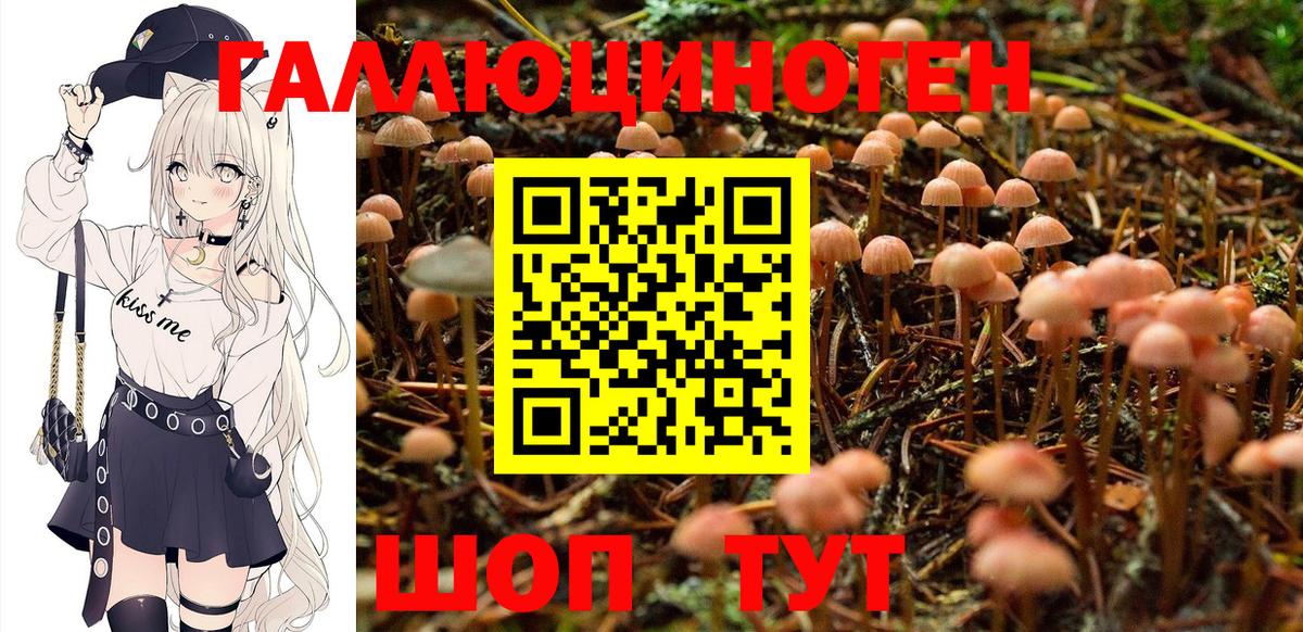 Нововоронеж  где купить   Вход с VPN  Псилоцибиновые грибы Magic Shrooms 