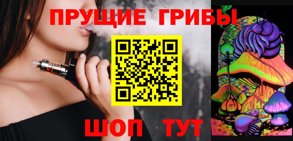 Галлюциногенные грибы Psilocybine cubensis Нововоронеж